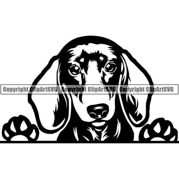 Dachshund Peeking Dog Breed Clipart SVG 002