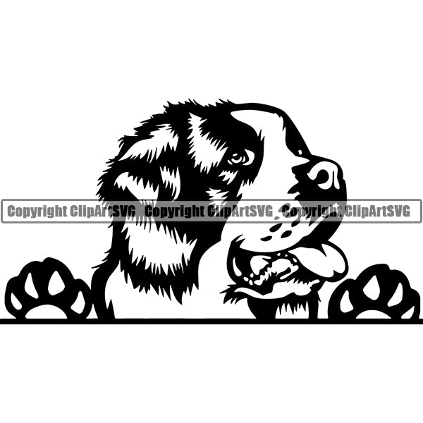 Saint Bernard Peeking Dog Breed ClipArt SVG 005