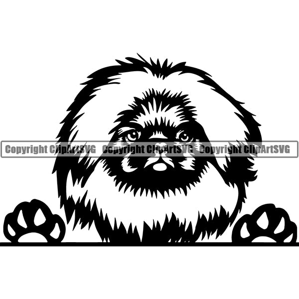 Pekingese Peeking Dog Breed ClipArt SVG 002
