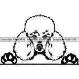 Poodle Peeking Dog Breed ClipArt SVG 002