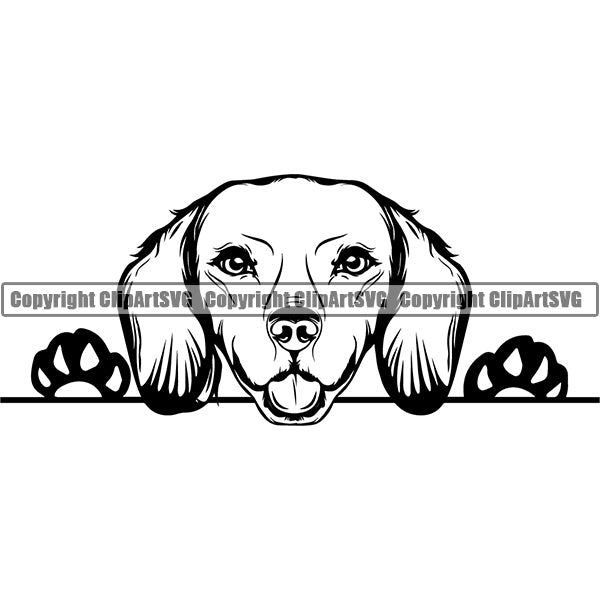 Dachshund Peeking Dog Breed Clipart SVG 011