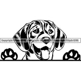 Beagle Peeking Dog Breed ClipArt SVG