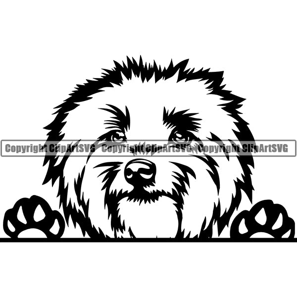 Lowchen Peeking Dog Breed ClipArt SVG