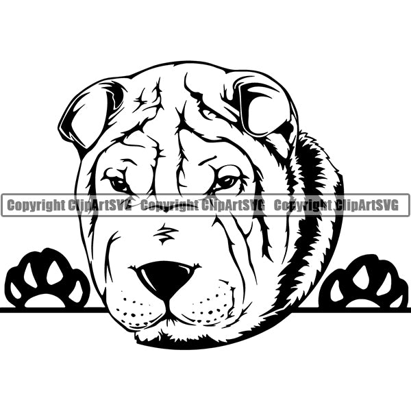 Shar Pei Peeking Dog Breed ClipArt SVG 001
