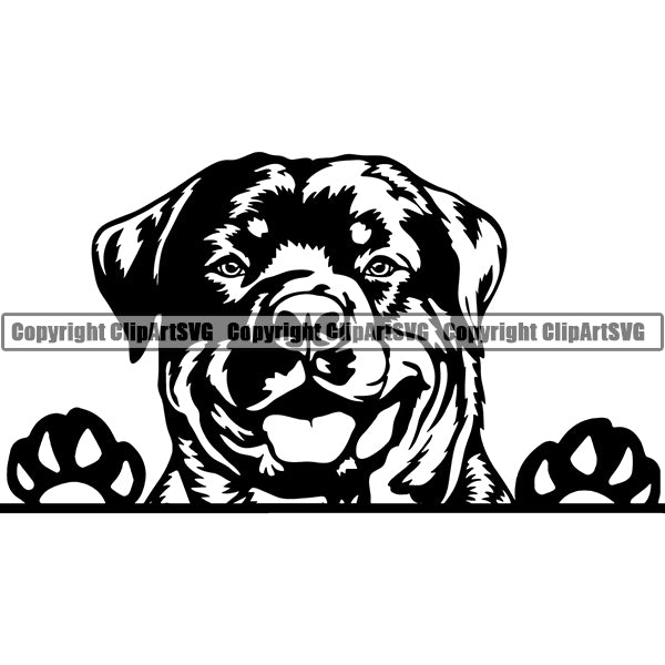 Rottweiler Peeking Dog Breed ClipArt SVG 005