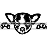 Chihuahua Peeking Dog Breed Clipart SVG 013