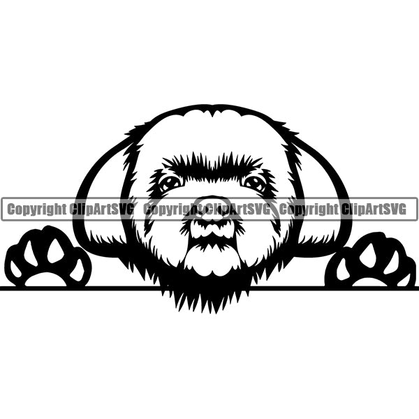 Shih Tzu Peeking Dog Breed ClipArt SVG 008