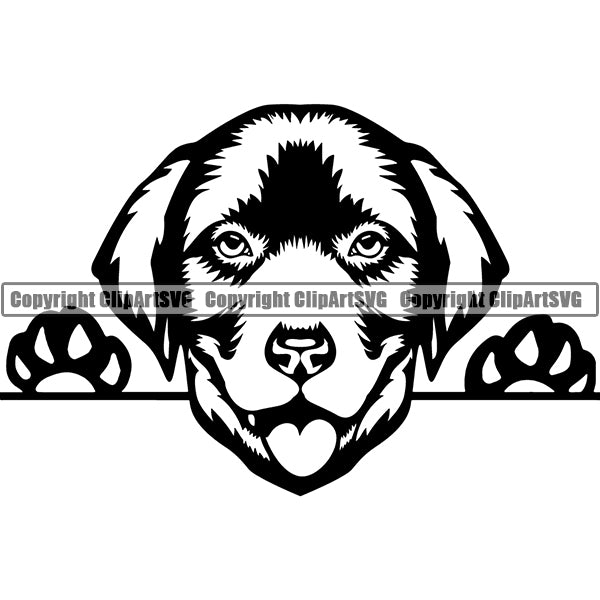 Labrador Retriever Peeking Dog Breed ClipArt SVG 002