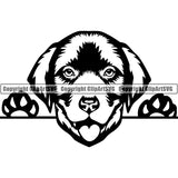 Labrador Retriever Peeking Dog Breed ClipArt SVG 002