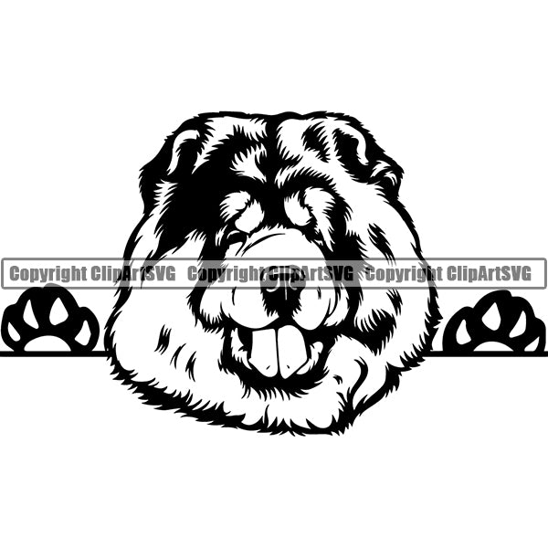 Chow Chow Peeking Dog Breed Clipart SVG 003