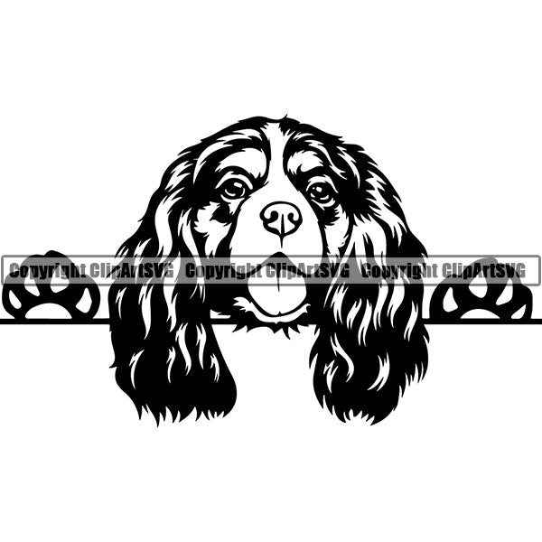 Cavalier King Charles Spaniel Peeking Dog Breed Clipart SVG 001