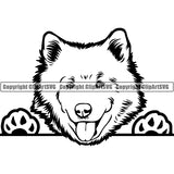 Samoyed Peeking Dog Breed ClipArt SVG 002