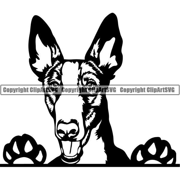 Pit Bull Peeking Dog Breed ClipArt SVG 027