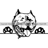 Pit Bull Peeking Dog Breed ClipArt SVG 014