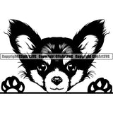 Chihuahua Peeking Dog Breed Clipart SVG 011
