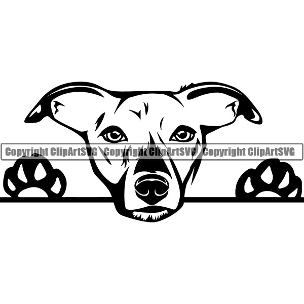 Whippet Peeking Dog Breed ClipArt SVG 001