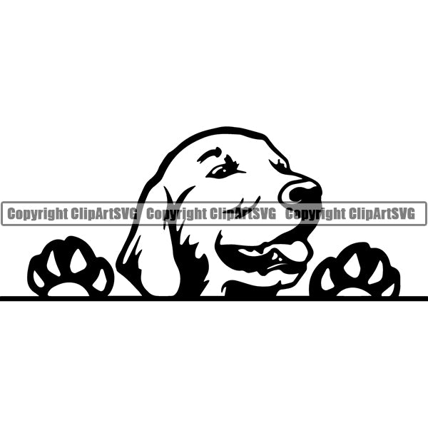 Golden Retriever Peeking Dog Breed ClipArt SVG 001