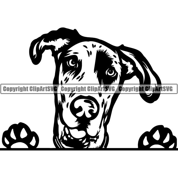 Great Dane Peeking Dog Breed ClipArt SVG 005