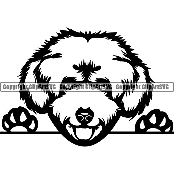 Maltipoo Peeking Dog Breed ClipArt SVG 003