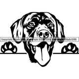 Labrador Retriever Peeking Dog Breed ClipArt SVG 012