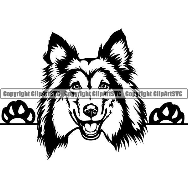 Shetland Sheepdog Peeking Dog Breed ClipArt SVG 001