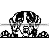 Bernese Mountain Peeking Dog Breed Clipart SVG 002