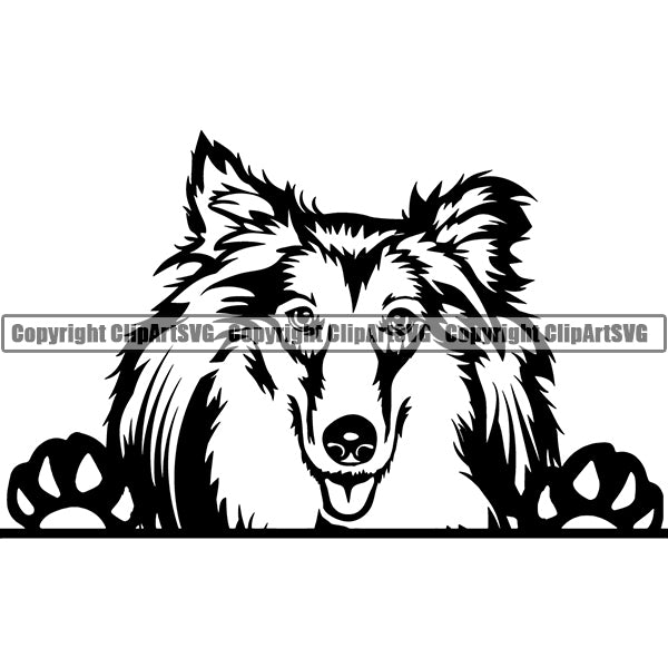 Rough Collie Peeking Dog Breed ClipArt SVG 002