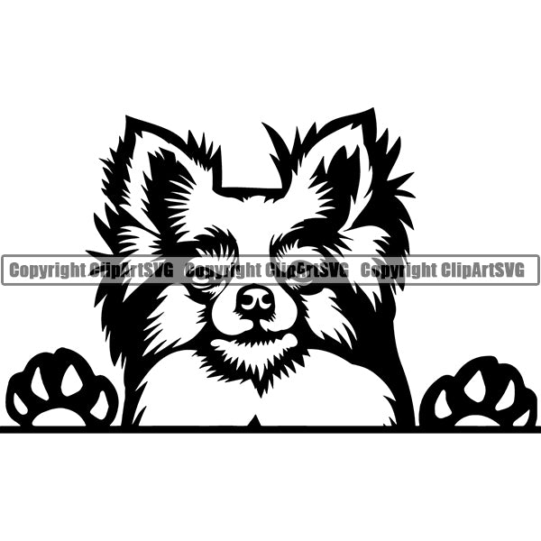 Chihuahua Peeking Dog Breed Clipart SVG 016