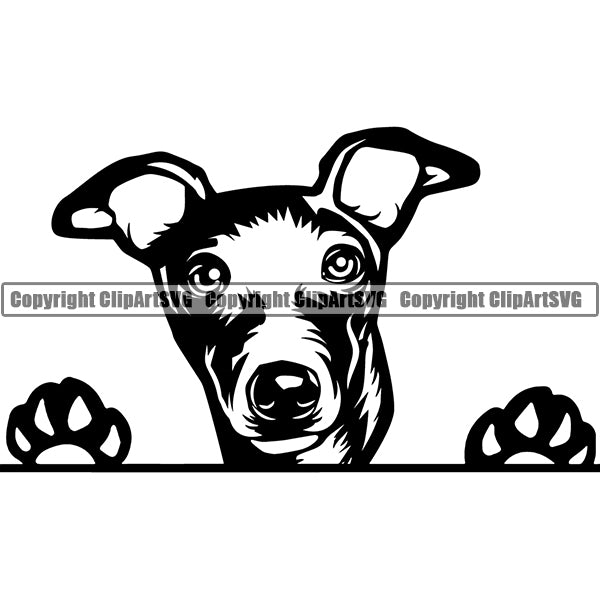 Greyhound Peeking Dog Breed ClipArt SVG