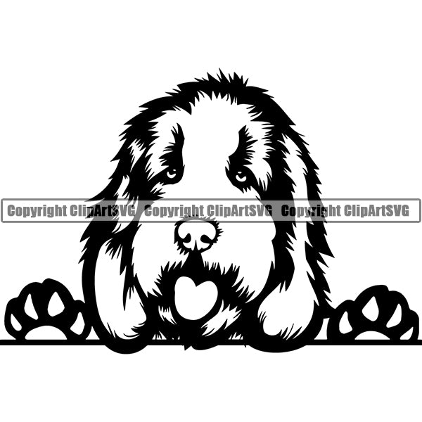 Cockapoo Peeking Dog Breed Clipart SVG 002