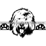 Old English Sheepdog Peeking Dog Breed ClipArt SVG