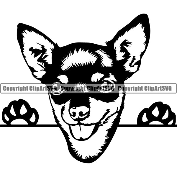 Chihuahua Peeking Dog Breed Clipart SVG 019