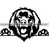 Leonberger Peeking Dog Breed ClipArt SVG