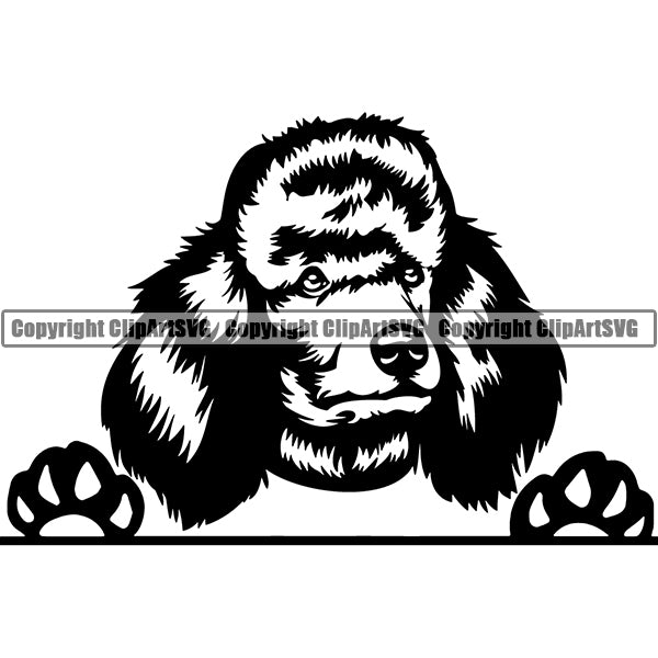 Poodle Peeking Dog Breed ClipArt SVG 008