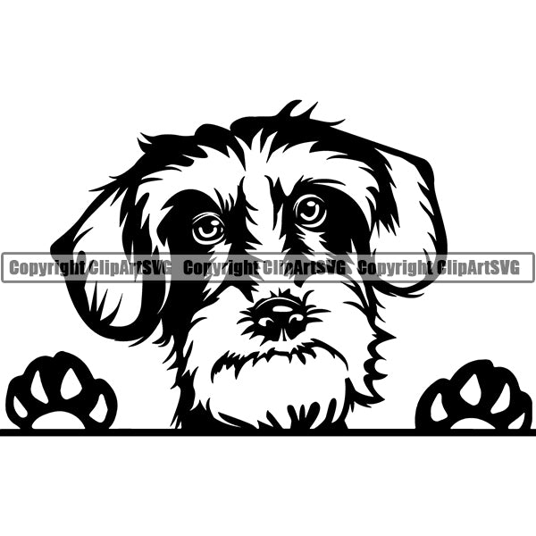 Dachshund Peeking Dog Breed Clipart SVG 001