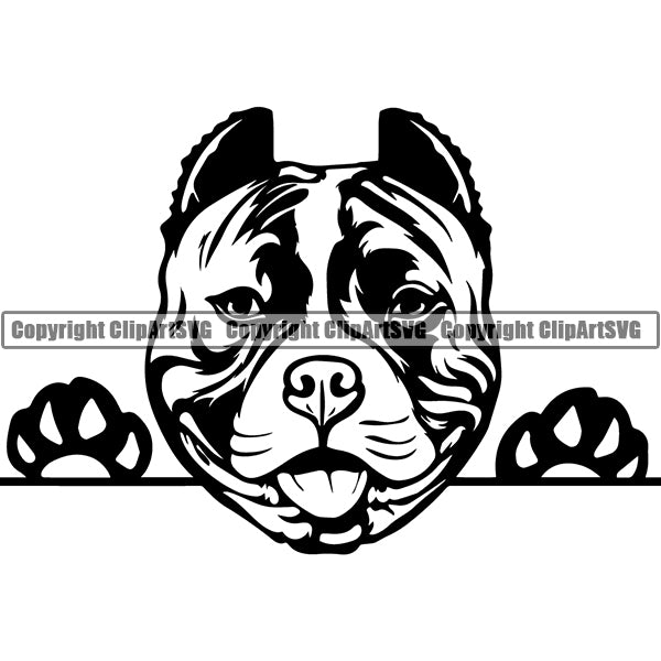 Pit Bull Peeking Dog Breed ClipArt SVG 015