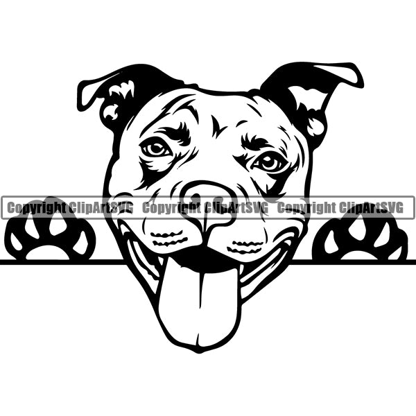 Pit Bull Peeking Dog Breed ClipArt SVG 011