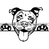 Pit Bull Peeking Dog Breed ClipArt SVG 011