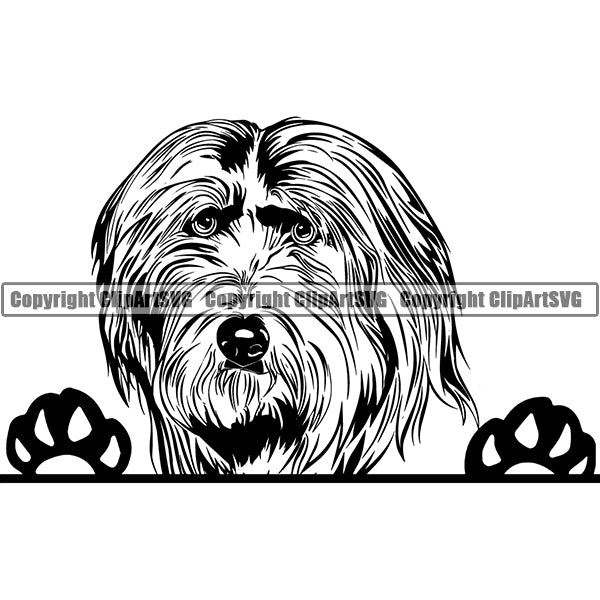 Bearded Collie Peeking Dog Breed Clipart SVG 002