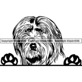 Bearded Collie Peeking Dog Breed Clipart SVG 002