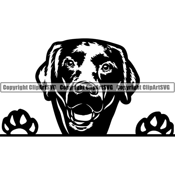 Labrador Retriever Peeking Dog Breed ClipArt SVG 013
