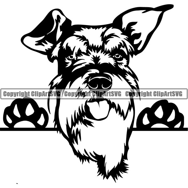 Schnauzer Peeking Dog Breed ClipArt SVG 006