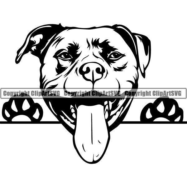 Pit Bull Peeking Dog Breed ClipArt SVG 012