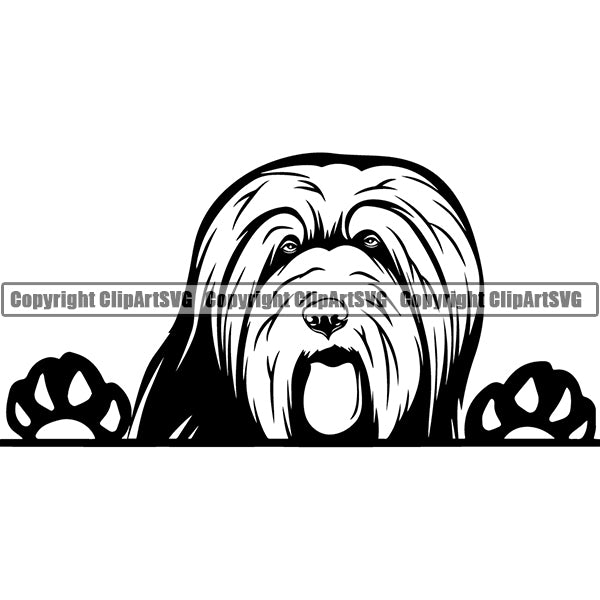 Bearded Collie Peeking Dog Breed Clipart SVG 001