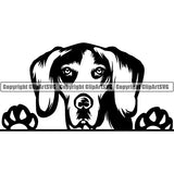 American English Coonhound Peeking Dog Breed Clipart SVG 002