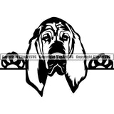 Bloodhound Peeking Dog Breed Clipart SVG 001