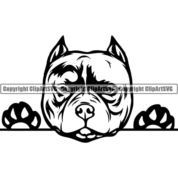 Pit Bull Peeking Dog Breed ClipArt SVG 013
