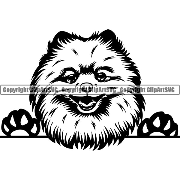 Pomeranian Peeking Dog Breed ClipArt SVG 004