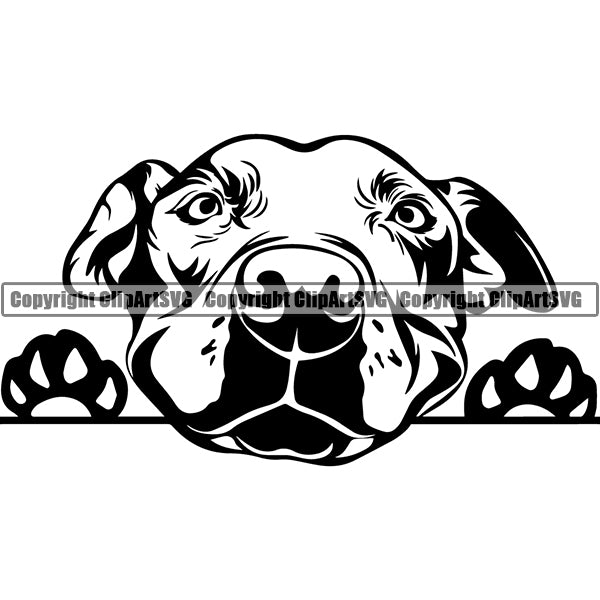 Pit Bull Peeking Dog Breed ClipArt SVG 023
