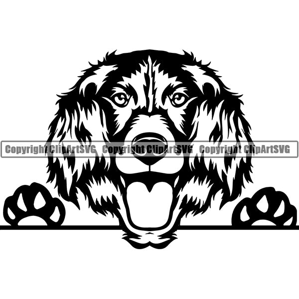 Monsterlander Peeking Dog Breed ClipArt SVG